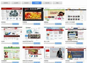 大泉州地區網站建設與網店開設 5000+成功案例，助力企業數字化升級
